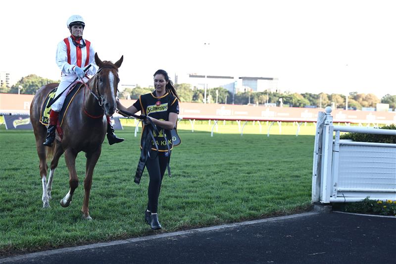 SYDNEY, AUSTRALIA - APRIL 15:  Craig Williams riding Giga Kick wins Race 8 Schweppes All Aged Stakes during "Schweppes All Aged Stakes Day" - Sydney Racing at Royal Randwick Racecourse on April 15, 2023 in Sydney, Australia. (Photo by Jeremy Ng/Getty Images)