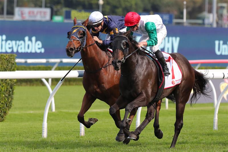 SYDNEY, AUSTRALIA - APRIL 15:  James Mcdonald riding Diamil wins Race 6 Sharp Extensive It JRA Plate during "Schweppes All Aged Stakes Day" - Sydney Racing at Royal Randwick Racecourse on April 15, 2023 in Sydney, Australia. (Photo by Jeremy Ng/Getty Images)