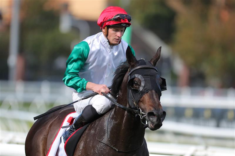 SYDNEY, AUSTRALIA - APRIL 15:  James Mcdonald riding Diamil wins Race 6 Sharp Extensive It JRA Plate during "Schweppes All Aged Stakes Day" - Sydney Racing at Royal Randwick Racecourse on April 15, 2023 in Sydney, Australia. (Photo by Jeremy Ng/Getty Images)