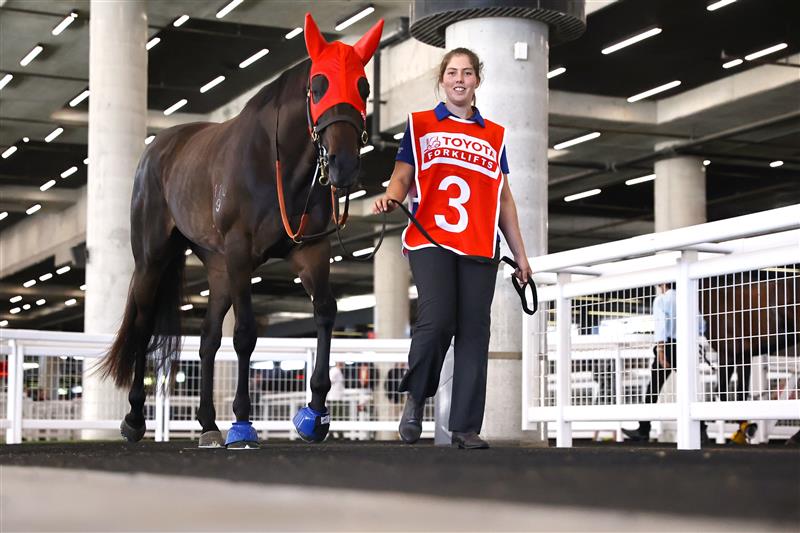 SYDNEY, AUSTRALIA - APRIL 15: James Mcdonald riding Pericles are seen with their strapper prior to Race 1 Toyota Forklifts Frank Packer during "Schweppes All Aged Stakes Day" - Sydney Racing at Royal Randwick Racecourse on April 15, 2023 in Sydney, Australia. (Photo by Jeremy Ng/Getty Images)
