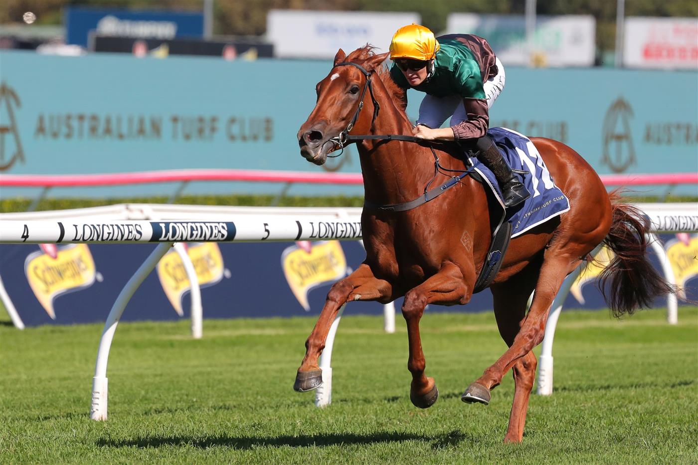 SYDNEY, AUSTRALIA - APRIL 15: Tom Sherry riding Mayrose wins Race 3 Midway during "Schweppes All Aged Stakes Day" - Sydney Racing at Royal Randwick Racecourse on April 15, 2023 in Sydney, Australia. (Photo by Jeremy Ng/Getty Images)