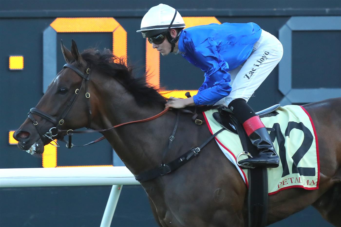 SYDNEY, AUSTRALIA - APRIL 15: Zac Lloyd riding Tamerlane  wins Race 9 Petaluma during "Schweppes All Aged Stakes Day" - Sydney Racing at Royal Randwick Racecourse on April 15, 2023 in Sydney, Australia. (Photo by Jeremy Ng/Getty Images)