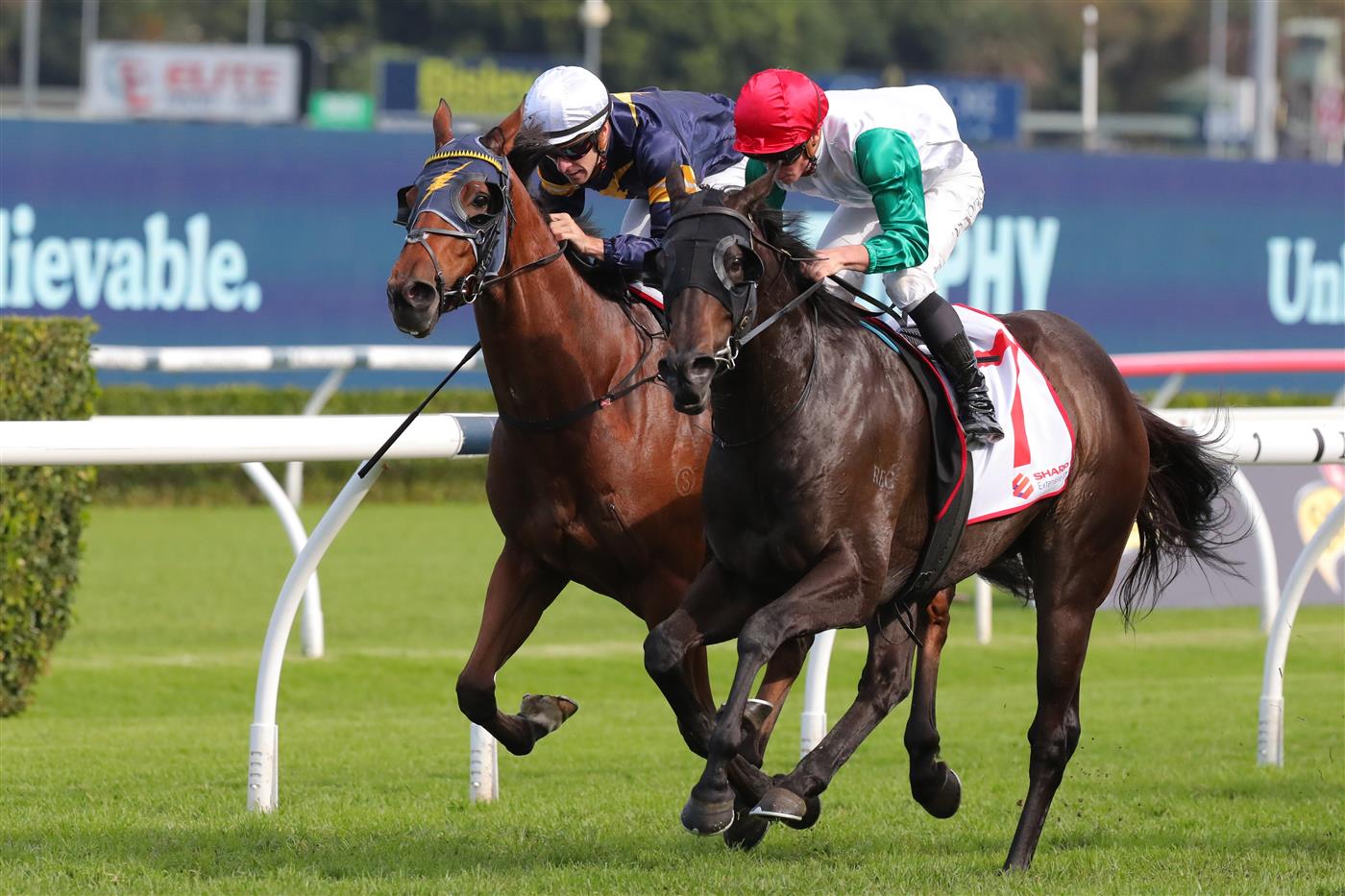 SYDNEY, AUSTRALIA - APRIL 15:  James Mcdonald riding Diamil wins Race 6 Sharp Extensive It JRA Plate during "Schweppes All Aged Stakes Day" - Sydney Racing at Royal Randwick Racecourse on April 15, 2023 in Sydney, Australia. (Photo by Jeremy Ng/Getty Images)