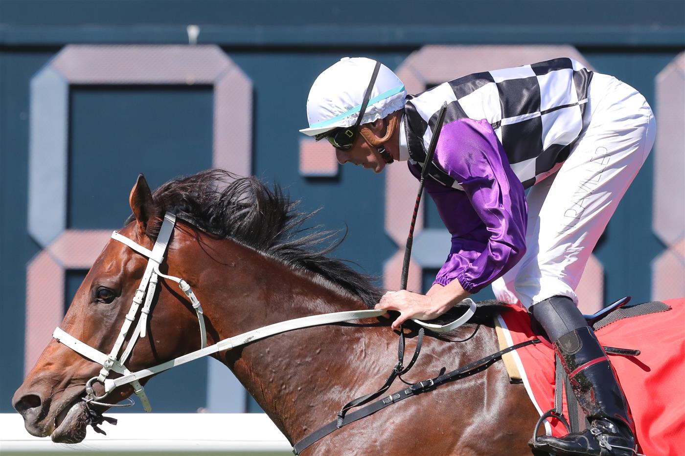 SYDNEY, AUSTRALIA - APRIL 15: Nash Rawiller riding Osipenko wins Race 1 Toyota Forklifts Frank Packer during "Schweppes All Aged Stakes Day" - Sydney Racing at Royal Randwick Racecourse on April 15, 2023 in Sydney, Australia. (Photo by Jeremy Ng/Getty Images)