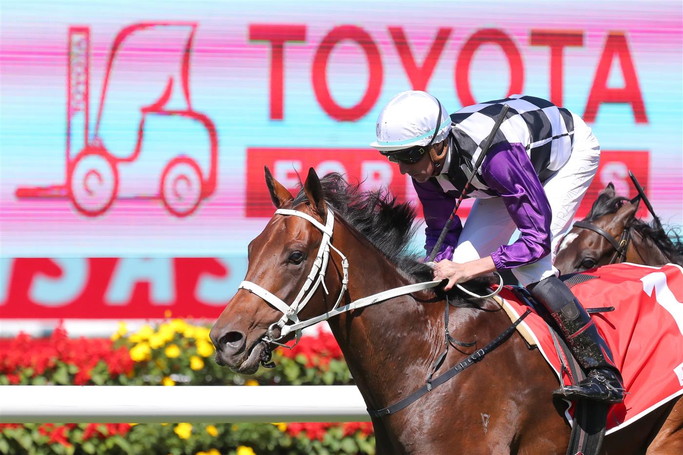 SYDNEY, AUSTRALIA - APRIL 15: Nash Rawiller riding Osipenko wins Race 1 Toyota Forklifts Frank Packer during "Schweppes All Aged Stakes Day" - Sydney Racing at Royal Randwick Racecourse on April 15, 2023 in Sydney, Australia. (Photo by Jeremy Ng/Getty Images)