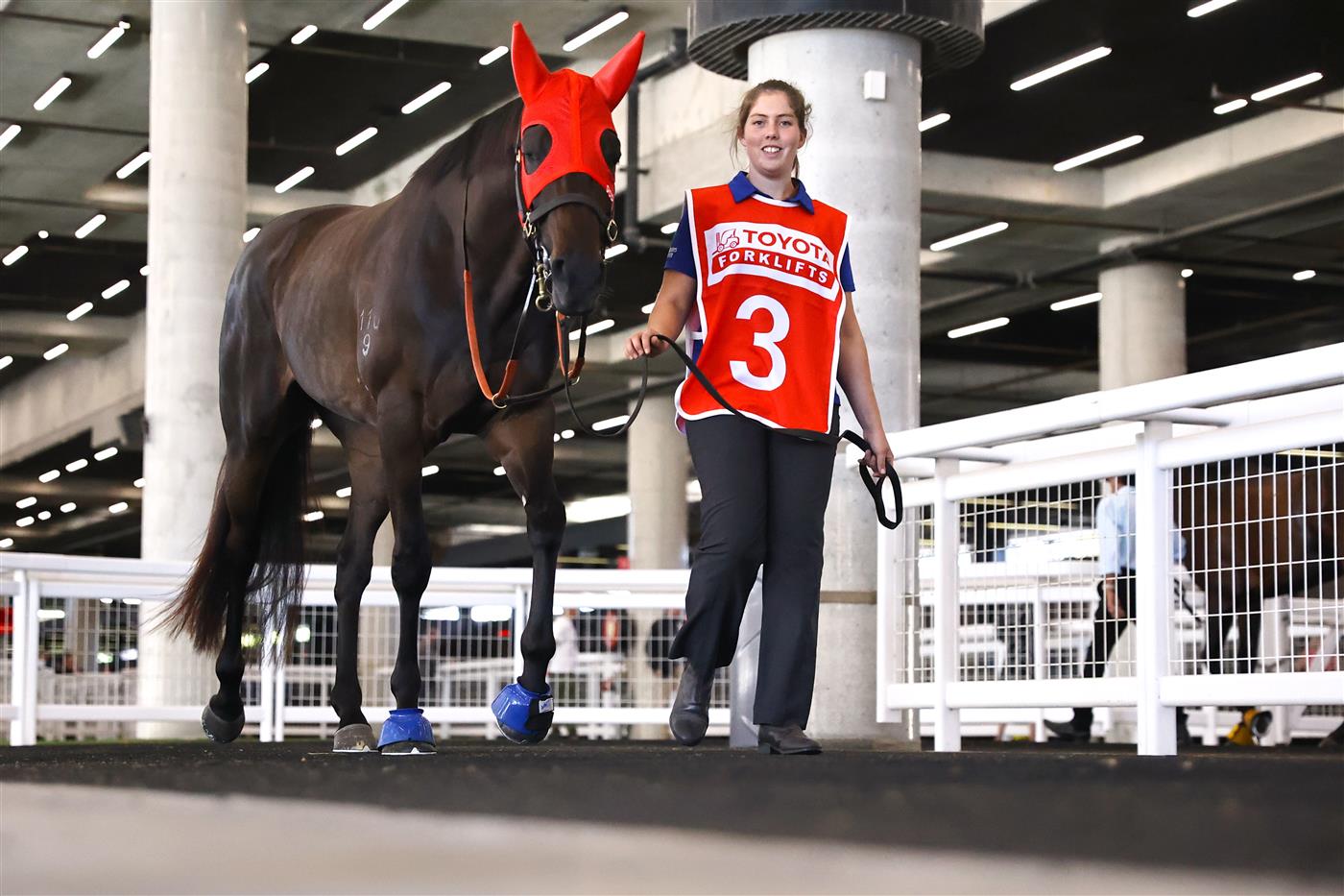 SYDNEY, AUSTRALIA - APRIL 15: James Mcdonald riding Pericles are seen with their strapper prior to Race 1 Toyota Forklifts Frank Packer during "Schweppes All Aged Stakes Day" - Sydney Racing at Royal Randwick Racecourse on April 15, 2023 in Sydney, Australia. (Photo by Jeremy Ng/Getty Images)