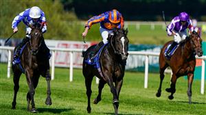 2023 2000 Guineas Odds - Auguste Rodin heads Classic market