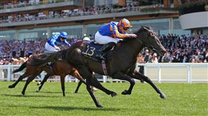 2023 1000 Guineas Odds - Tahiyra and Meditate top the Newmarket betting