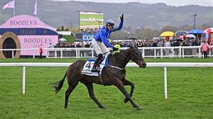 2023 Punchestown Champion Chase Odds - Energumene odds-on to defend crown