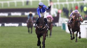 2023 Punchestown Champion Chase Tips - Is there value against Energumene at Punchestown?