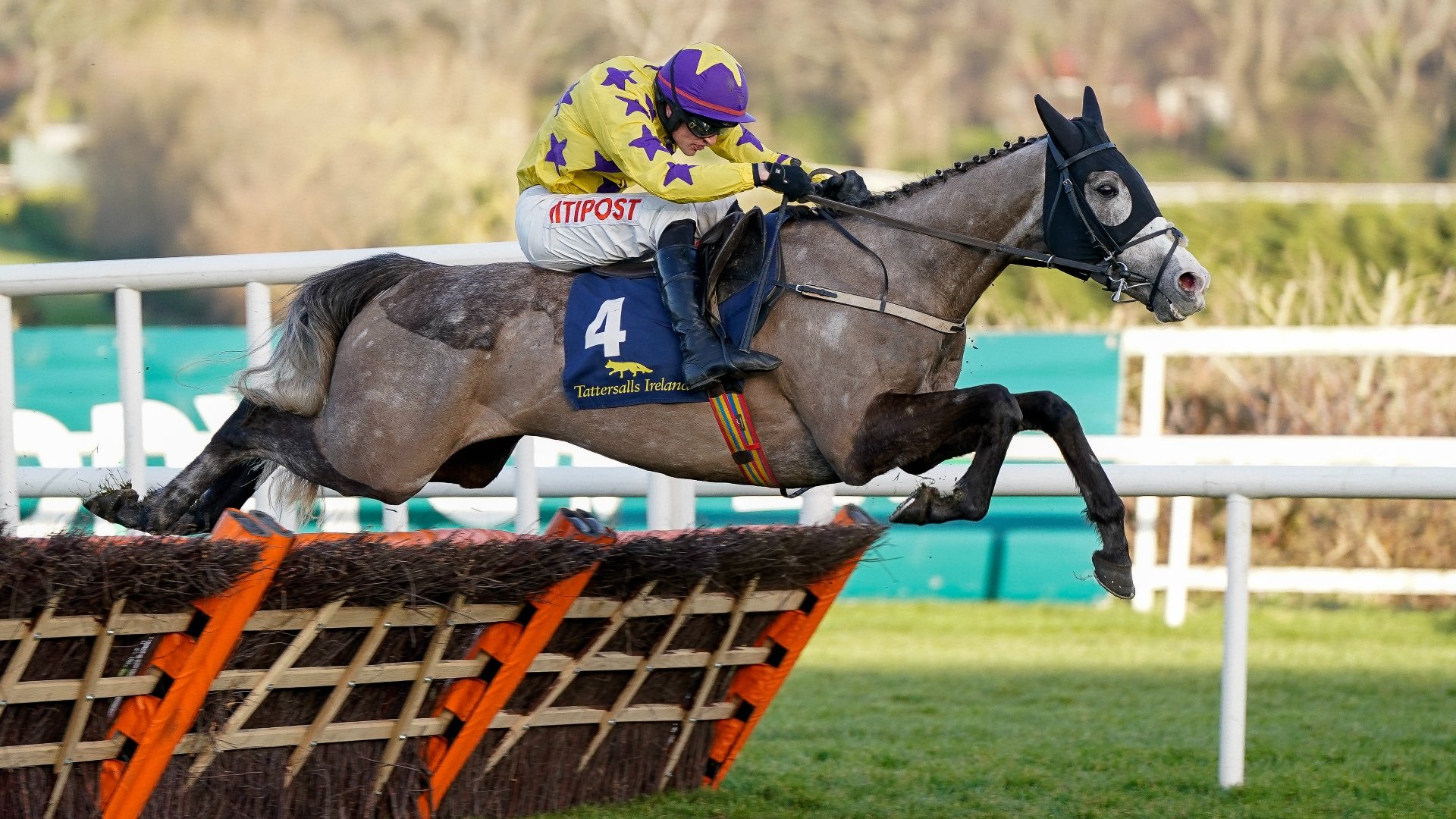 Punchestown Festival 2023 Tips - Top tips on day one
