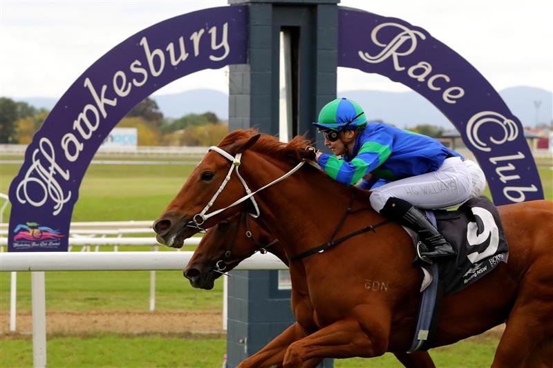 HAWKESBURY, AUSTRALIA - APRIL 22: Hannah Williams riding Delacour wins Race 5 The Lawn Shed  during Hawkesbury Cup Day Sydney Racing at Hawkesbury Racecourse on April 22, 2023 in Hawkesbury, Australia. (Photo by Jeremy Ng/Getty Images)