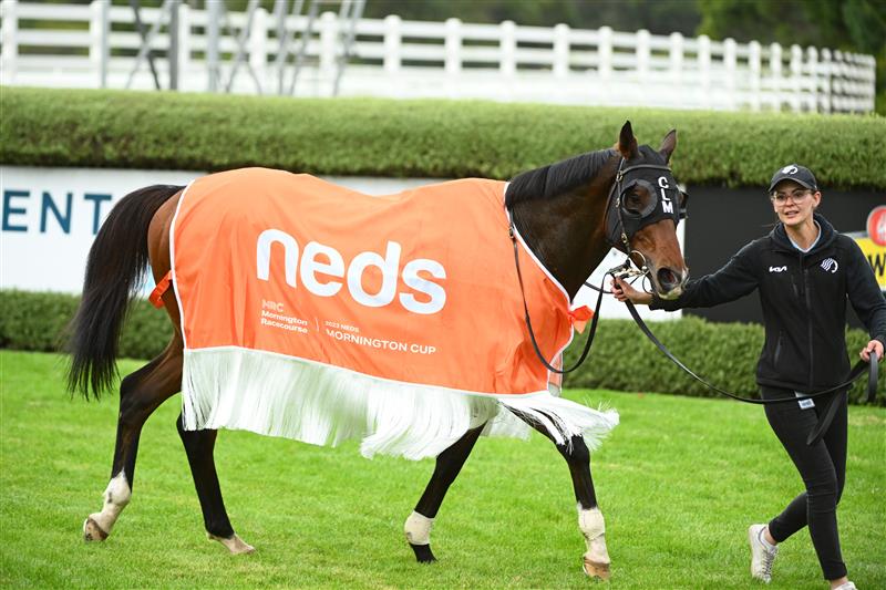 MORNINGTON, AUSTRALIA - APRIL 22: Right You Are after winning Race 8, the Neds Mornington Cup, during Melbourne Racing at Mornington Racecourse on April 22, 2023 in Mornington, Australia. (Photo by Vince Caligiuri/Getty Images)