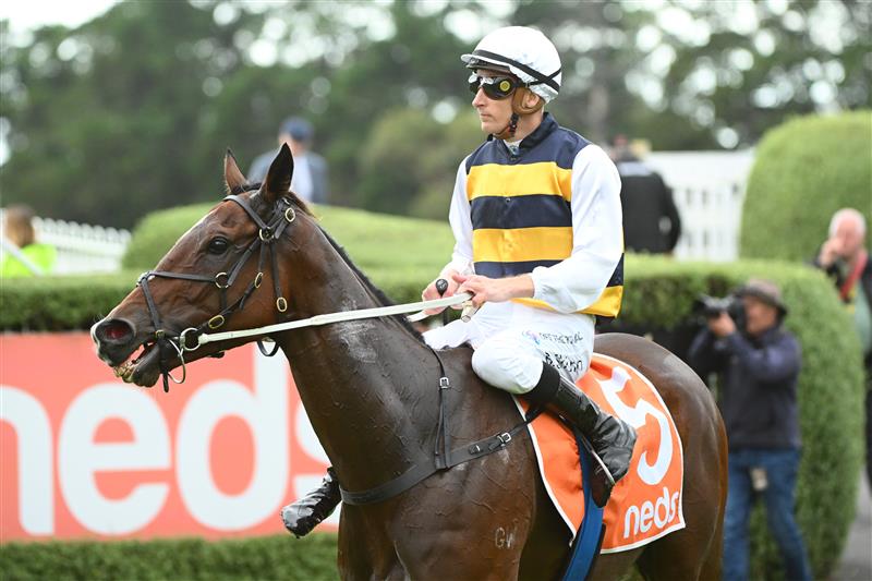 MORNINGTON, AUSTRALIA - APRIL 22: Blake Shinn riding Hezashocka after finishing second in Race 8, the Neds Mornington Cup, during Melbourne Racing at Mornington Racecourse on April 22, 2023 in Mornington, Australia. (Photo by Vince Caligiuri/Getty Images)