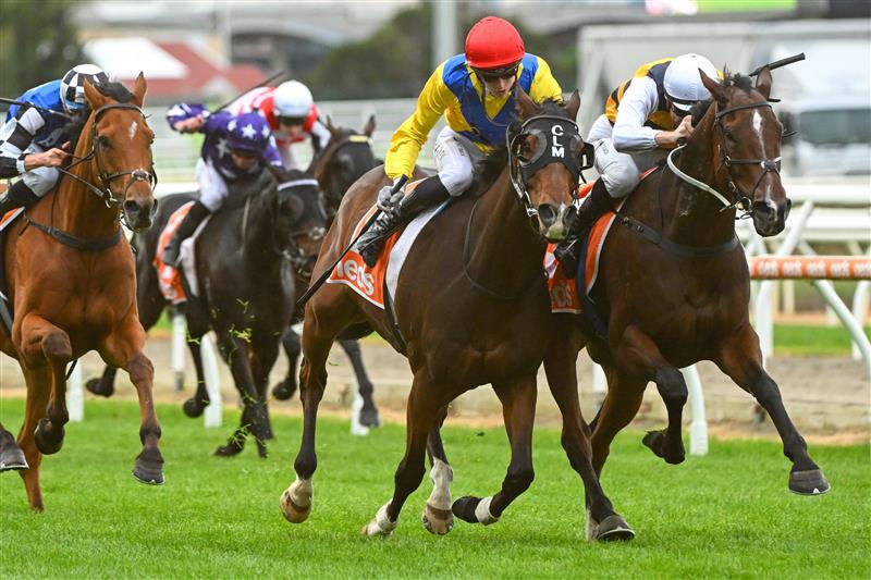 MORNINGTON, AUSTRALIA - APRIL 22: Ben Allen riding Right You Are defeats Blake Shinn riding Hezashocka in Race 8, the Neds Mornington Cup, during Melbourne Racing at Mornington Racecourse on April 22, 2023 in Mornington, Australia. (Photo by Vince Caligiuri/Getty Images)