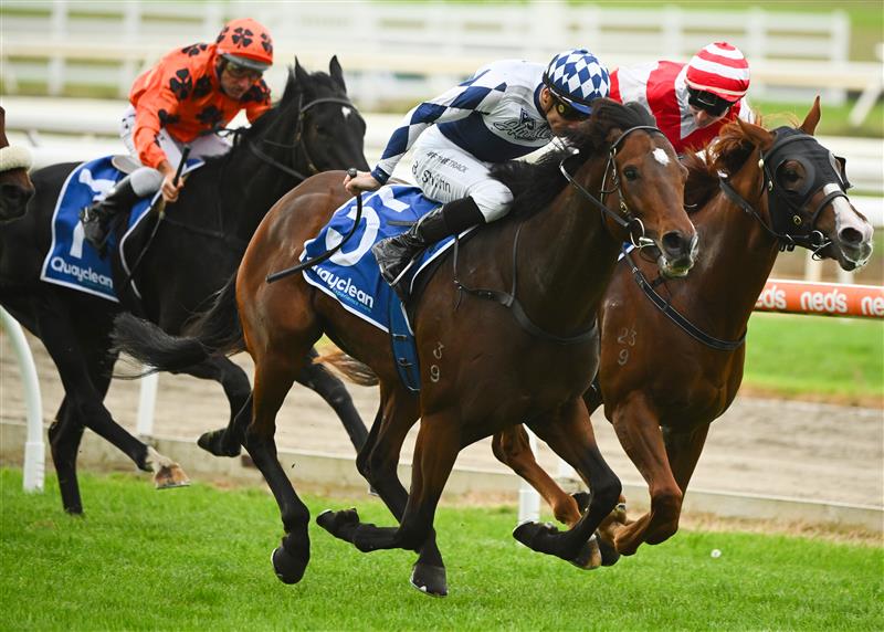MORNINGTON, AUSTRALIA - APRIL 22: Blake Shinn riding Lethal Thoughts defeats Dashing in Race 6, the Quayclean Mornington Guineas, during Melbourne Racing at Mornington Racecourse on April 22, 2023 in Mornington, Australia. (Photo by Vince Caligiuri/Getty Images)