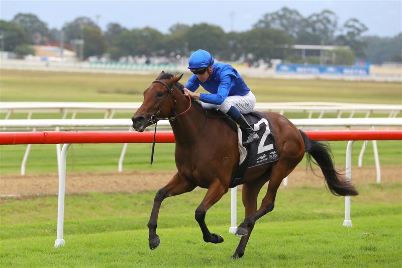 HAWKESBURY, AUSTRALIA - APRIL 22: Chad Schofield riding Zardozi wins Race 1 St Johns Park B.C Clarendon during Hawkesbury Cup Day Sydney Racing at Hawkesbury Racecourse on April 22, 2023 in Hawkesbury, Australia. (Photo by Jeremy Ng/Getty Images)