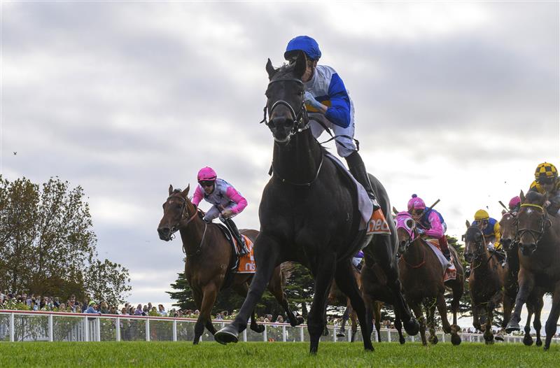 MORNINGTON, AUSTRALIA - APRIL 22: Daniel Moor riding Jigsaw winning Race 7, the Neds Hareeba Stakes,  during Melbourne Racing at Mornington Racecourse on April 22, 2023 in Mornington, Australia. (Photo by Vince Caligiuri/Getty Images)