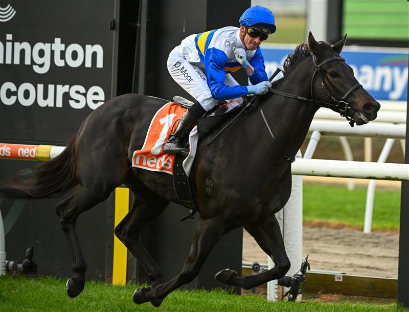MORNINGTON, AUSTRALIA - APRIL 22: Daniel Moor riding Jigsaw winning Race 7, the Neds Hareeba Stakes,  during Melbourne Racing at Mornington Racecourse on April 22, 2023 in Mornington, Australia. (Photo by Vince Caligiuri/Getty Images)
