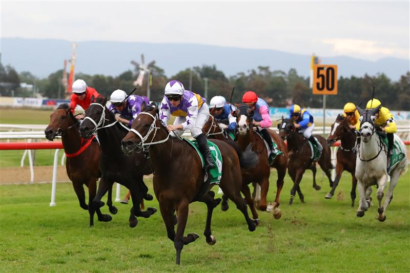 HAWKESBURY, AUSTRALIA - APRIL 22: James Mcdonald riding New Mandate wins Race 9 Richmond Club Hawkesbury Cup during Hawkesbury Cup Day Sydney Racing at Hawkesbury Racecourse on April 22, 2023 in Hawkesbury, Australia. (Photo by Jeremy Ng/Getty Images)