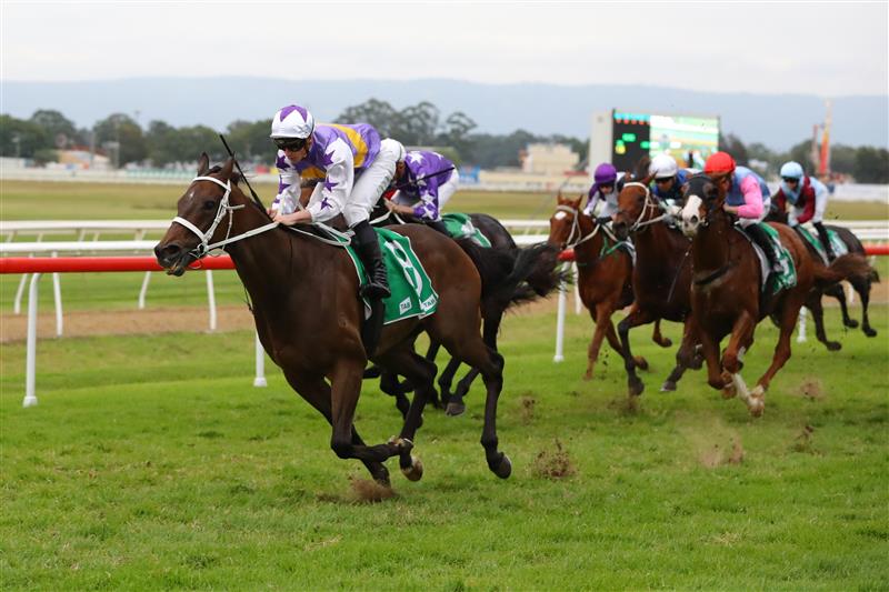 HAWKESBURY, AUSTRALIA - APRIL 22: James Mcdonald riding New Mandate wins Race 9 Richmond Club Hawkesbury Cup during Hawkesbury Cup Day Sydney Racing at Hawkesbury Racecourse on April 22, 2023 in Hawkesbury, Australia. (Photo by Jeremy Ng/Getty Images)