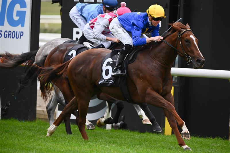 MORNINGTON, AUSTRALIA - APRIL 22: Jye McNeil riding Claymore Mine defeating Chilled (ctr) in Race 1, the Mornington Peninsula News Group Sires, during Melbourne Racing at Mornington Racecourse on April 22, 2023 in Mornington, Australia. (Photo by Vince Caligiuri/Getty Images)