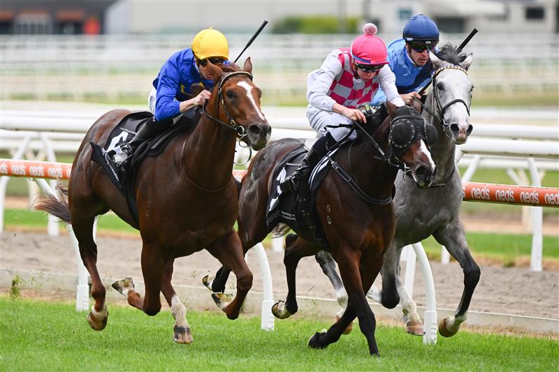 MORNINGTON, AUSTRALIA - APRIL 22: Jye McNeil riding Claymore Mine defeating Chilled (ctr) in Race 1, the Mornington Peninsula News Group Sires, during Melbourne Racing at Mornington Racecourse on April 22, 2023 in Mornington, Australia. (Photo by Vince Caligiuri/Getty Images)