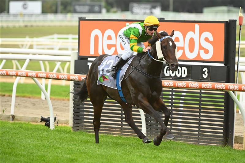 MORNINGTON, AUSTRALIA - APRIL 22: Linda Meech riding Outback Action winning Race 5, the No Fuss Event Hire Handicap, during Melbourne Racing at Mornington Racecourse on April 22, 2023 in Mornington, Australia. (Photo by Vince Caligiuri/Getty Images)