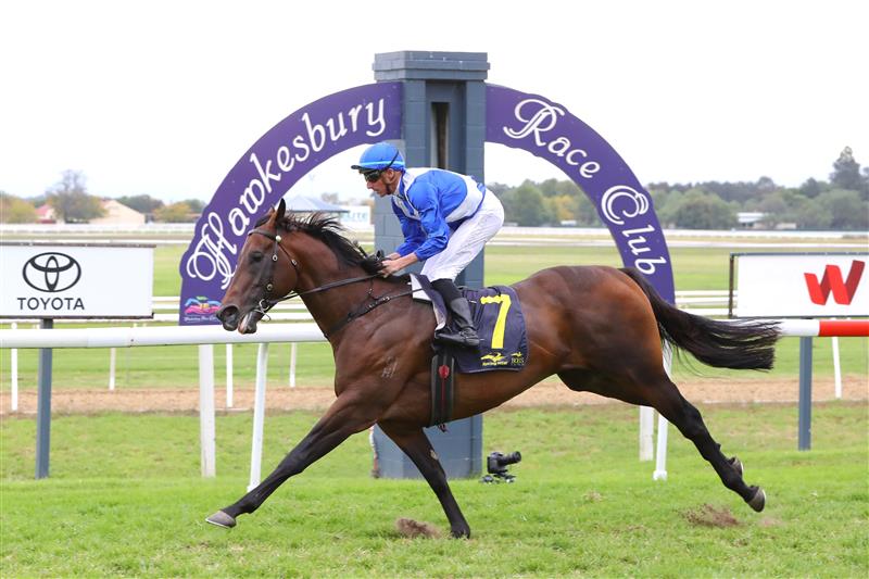 HAWKESBURY, AUSTRALIA - APRIL 22: Nash Rawiller riding Hawaii Five Oh wins Race 7 Blacktown Workers Hawkesbury Guineas during Hawkesbury Cup Day Sydney Racing at Hawkesbury Racecourse on April 22, 2023 in Hawkesbury, Australia. (Photo by Jeremy Ng/Getty Images)