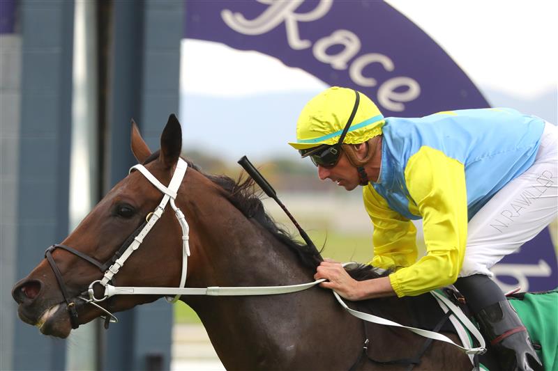 HAWKESBURY, AUSTRALIA - APRIL 22: Nash Rawiller riding Pretty Amazing wins Race 4 Blakes Marine during Hawkesbury Cup Day Sydney Racing at Hawkesbury Racecourse on April 22, 2023 in Hawkesbury, Australia. (Photo by Jeremy Ng/Getty Images)