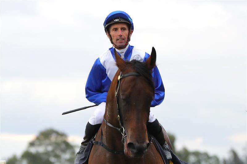 HAWKESBURY, AUSTRALIA - APRIL 22: Nash Rawiller riding Hawaii Five Oh wins Race 7 Blacktown Workers Hawkesbury Guineas during Hawkesbury Cup Day Sydney Racing at Hawkesbury Racecourse on April 22, 2023 in Hawkesbury, Australia. (Photo by Jeremy Ng/Getty Images)
