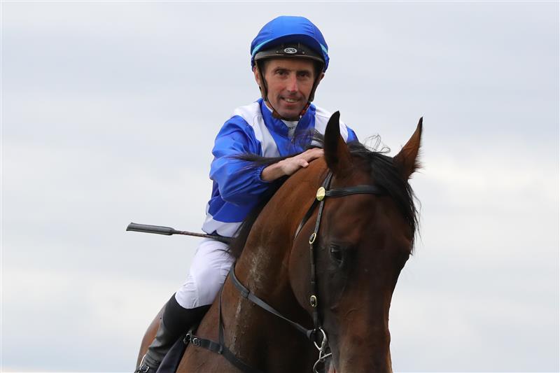 HAWKESBURY, AUSTRALIA - APRIL 22: Nash Rawiller riding Hawaii Five Oh wins Race 7 Blacktown Workers Hawkesbury Guineas during Hawkesbury Cup Day Sydney Racing at Hawkesbury Racecourse on April 22, 2023 in Hawkesbury, Australia. (Photo by Jeremy Ng/Getty Images)