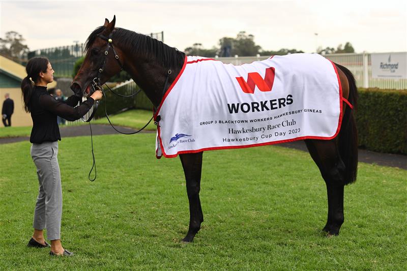 HAWKESBURY, AUSTRALIA - APRIL 22: Nash Rawiller riding Hawaii Five Oh wins Race 7 Blacktown Workers Hawkesbury Guineas during Hawkesbury Cup Day Sydney Racing at Hawkesbury Racecourse on April 22, 2023 in Hawkesbury, Australia. (Photo by Jeremy Ng/Getty Images)
