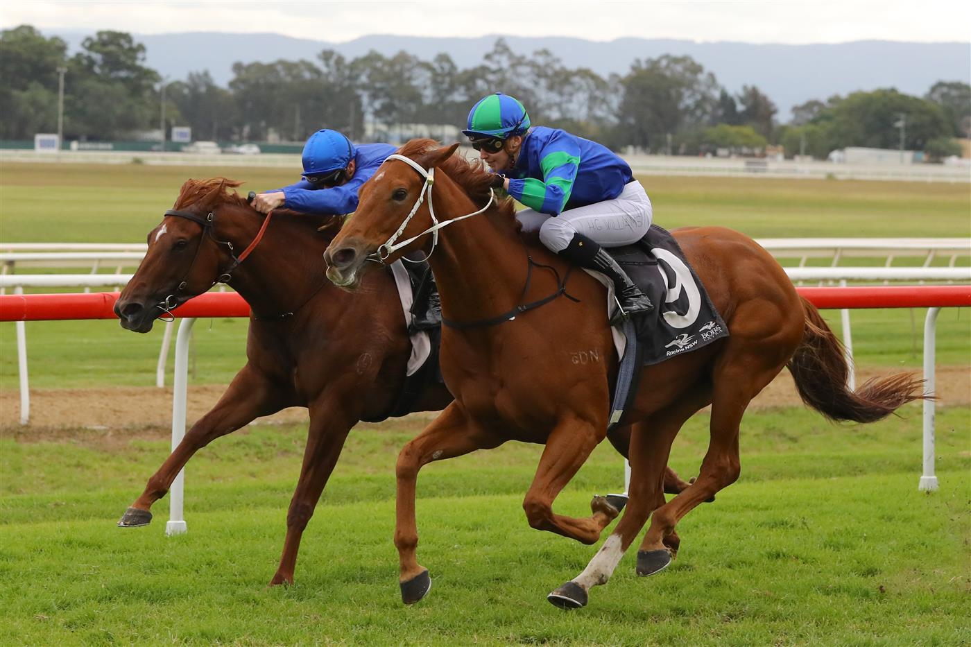 HAWKESBURY, AUSTRALIA - APRIL 22: Hannah Williams riding Delacour wins Race 5 The Lawn Shed  during Hawkesbury Cup Day Sydney Racing at Hawkesbury Racecourse on April 22, 2023 in Hawkesbury, Australia. (Photo by Jeremy Ng/Getty Images)