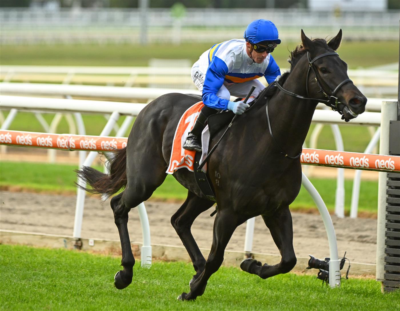MORNINGTON, AUSTRALIA - APRIL 22: Daniel Moor riding Jigsaw winning Race 7, the Neds Hareeba Stakes,  during Melbourne Racing at Mornington Racecourse on April 22, 2023 in Mornington, Australia. (Photo by Vince Caligiuri/Getty Images)