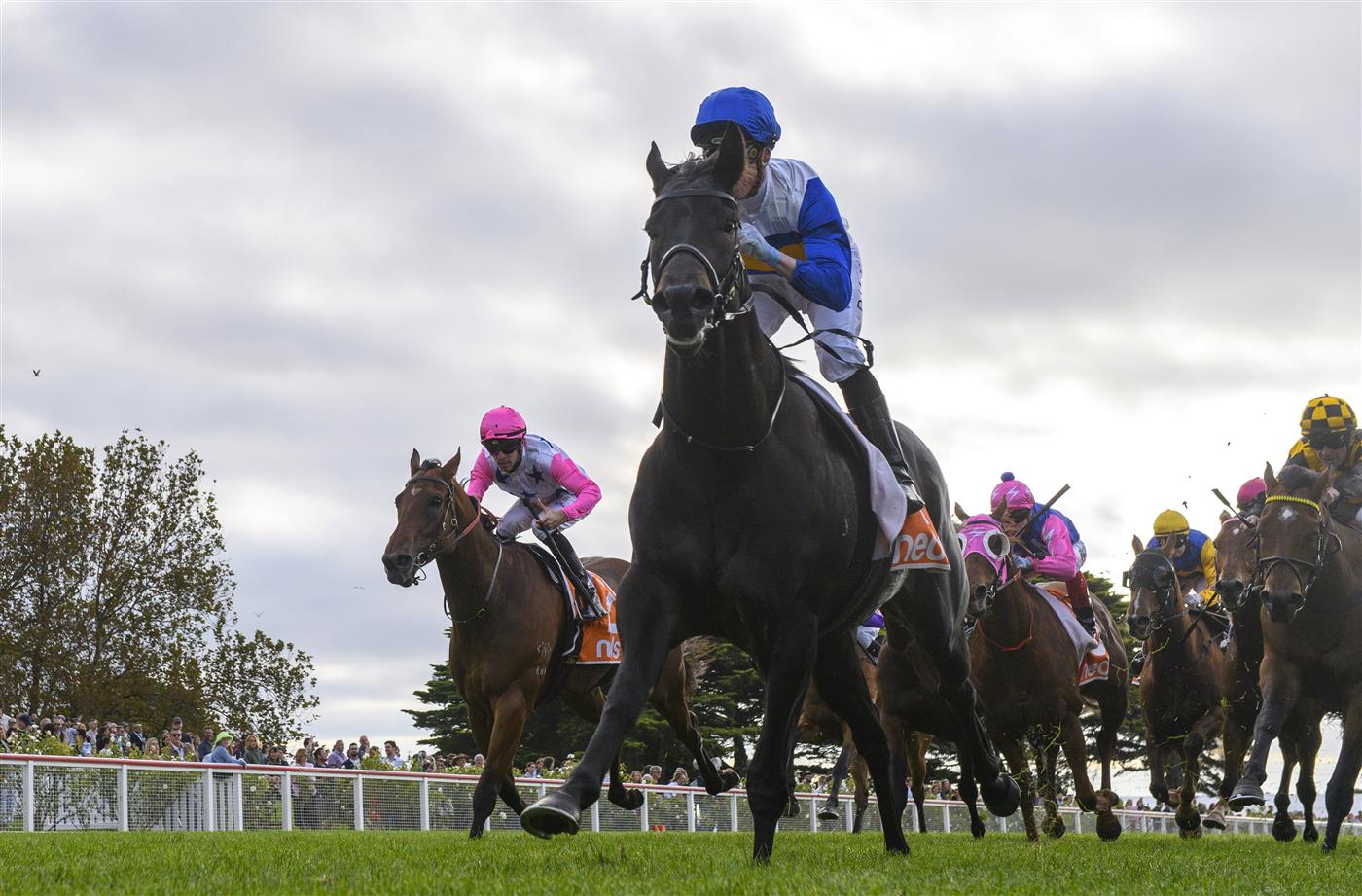 MORNINGTON, AUSTRALIA - APRIL 22: Daniel Moor riding Jigsaw winning Race 7, the Neds Hareeba Stakes,  during Melbourne Racing at Mornington Racecourse on April 22, 2023 in Mornington, Australia. (Photo by Vince Caligiuri/Getty Images)