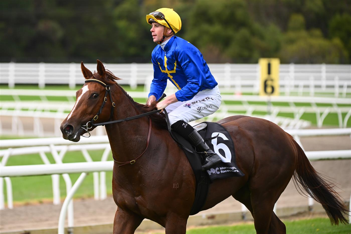 MORNINGTON, AUSTRALIA - APRIL 22: Jye McNeil riding Claymore Mine after winning in Race 1, the Mornington Peninsula News Group Sires, during Melbourne Racing at Mornington Racecourse on April 22, 2023 in Mornington, Australia. (Photo by Vince Caligiuri/Getty Images)
