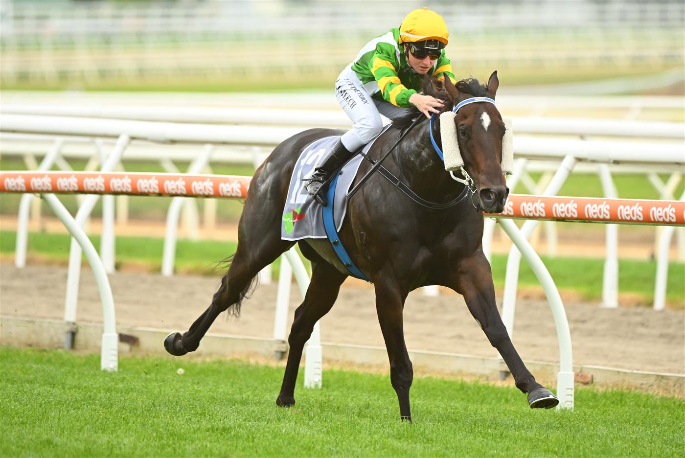 MORNINGTON, AUSTRALIA - APRIL 22: Linda Meech riding Outback Action winning Race 5, the No Fuss Event Hire Handicap, during Melbourne Racing at Mornington Racecourse on April 22, 2023 in Mornington, Australia. (Photo by Vince Caligiuri/Getty Images)