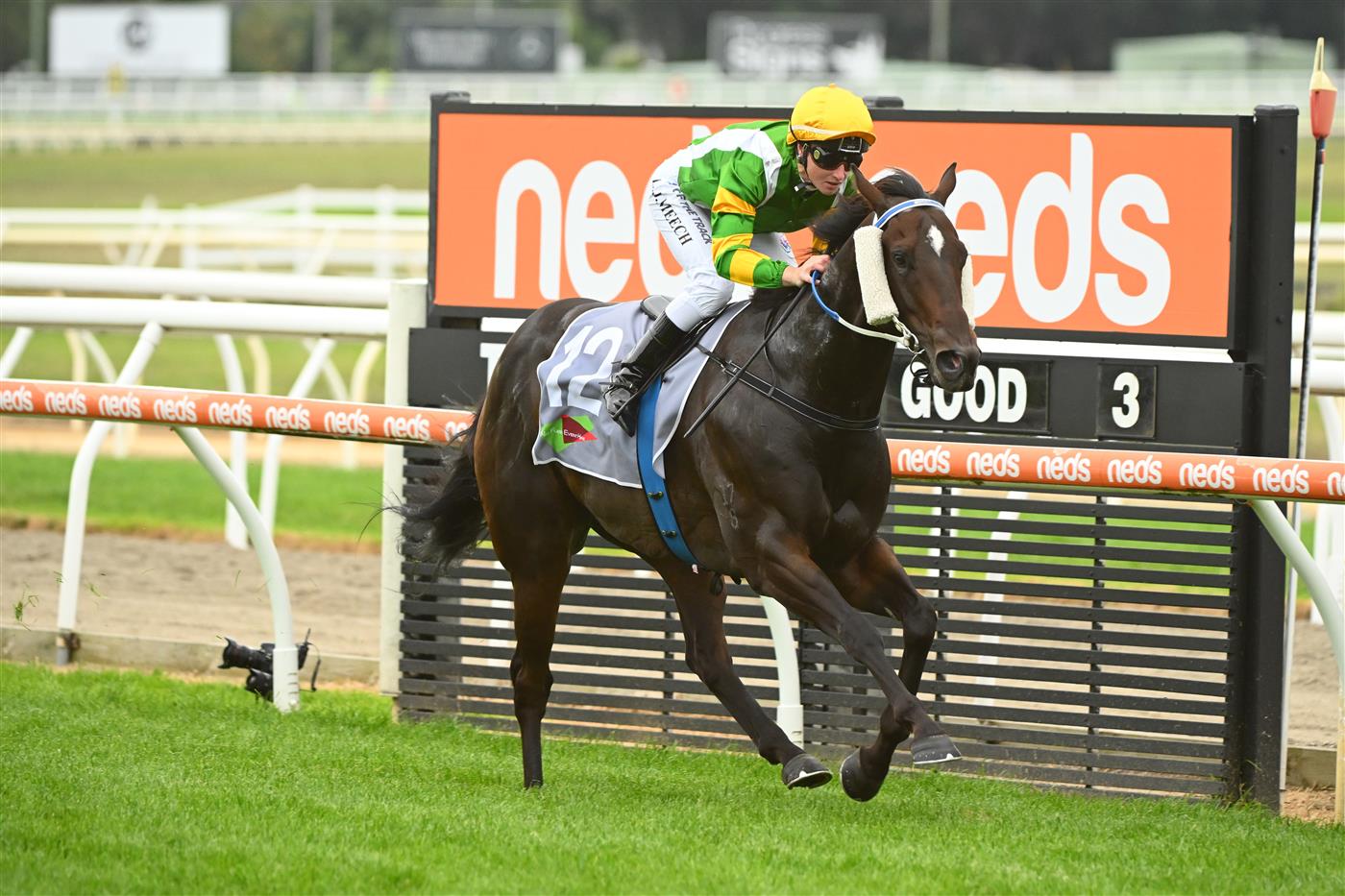 MORNINGTON, AUSTRALIA - APRIL 22: Linda Meech riding Outback Action winning Race 5, the No Fuss Event Hire Handicap, during Melbourne Racing at Mornington Racecourse on April 22, 2023 in Mornington, Australia. (Photo by Vince Caligiuri/Getty Images)