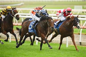 MORNINGTON, AUSTRALIA - APRIL 22: Blake Shinn riding Lethal Thoughts defeats Dashing in Race 6, the Quayclean Mornington Guineas, during Melbourne Racing at Mornington Racecourse on April 22, 2023 in Mornington, Australia. (Photo by Vince Caligiuri/Getty Images)