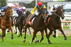 MORNINGTON, AUSTRALIA - APRIL 22: Ben Allen riding Right You Are defeats Blake Shinn riding Hezashocka in Race 8, the Neds Mornington Cup, during Melbourne Racing at Mornington Racecourse on April 22, 2023 in Mornington, Australia. (Photo by Vince Caligiuri/Getty Images)