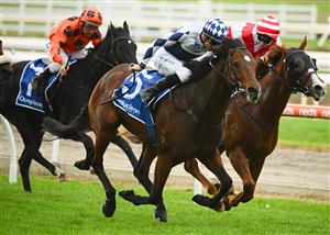 MORNINGTON, AUSTRALIA - APRIL 22: Blake Shinn riding Lethal Thoughts defeats Dashing in Race 6, the Quayclean Mornington Guineas, during Melbourne Racing at Mornington Racecourse on April 22, 2023 in Mornington, Australia. (Photo by Vince Caligiuri/Getty Images)