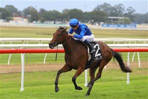 HAWKESBURY, AUSTRALIA - APRIL 22: Chad Schofield riding Zardozi wins Race 1 St Johns Park B.C Clarendon during Hawkesbury Cup Day Sydney Racing at Hawkesbury Racecourse on April 22, 2023 in Hawkesbury, Australia. (Photo by Jeremy Ng/Getty Images)