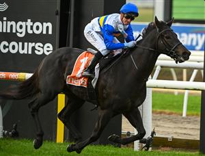 MORNINGTON, AUSTRALIA - APRIL 22: Daniel Moor riding Jigsaw winning Race 7, the Neds Hareeba Stakes,  during Melbourne Racing at Mornington Racecourse on April 22, 2023 in Mornington, Australia. (Photo by Vince Caligiuri/Getty Images)