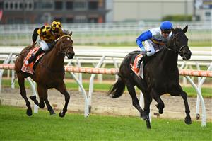 MORNINGTON, AUSTRALIA - APRIL 22: Daniel Moor riding Jigsaw winning Race 7, the Neds Hareeba Stakes,  during Melbourne Racing at Mornington Racecourse on April 22, 2023 in Mornington, Australia. (Photo by Vince Caligiuri/Getty Images)