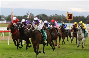 Hawkesbury Cup Day highlights