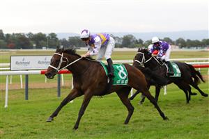 HAWKESBURY, AUSTRALIA - APRIL 22: James Mcdonald riding New Mandate wins Race 9 Richmond Club Hawkesbury Cup during Hawkesbury Cup Day Sydney Racing at Hawkesbury Racecourse on April 22, 2023 in Hawkesbury, Australia. (Photo by Jeremy Ng/Getty Images)