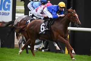 MORNINGTON, AUSTRALIA - APRIL 22: Jye McNeil riding Claymore Mine defeating Chilled (ctr) in Race 1, the Mornington Peninsula News Group Sires, during Melbourne Racing at Mornington Racecourse on April 22, 2023 in Mornington, Australia. (Photo by Vince Caligiuri/Getty Images)