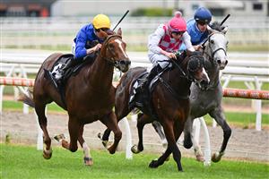 MORNINGTON, AUSTRALIA - APRIL 22: Jye McNeil riding Claymore Mine defeating Chilled (ctr) in Race 1, the Mornington Peninsula News Group Sires, during Melbourne Racing at Mornington Racecourse on April 22, 2023 in Mornington, Australia. (Photo by Vince Caligiuri/Getty Images)