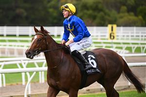MORNINGTON, AUSTRALIA - APRIL 22: Jye McNeil riding Claymore Mine after winning in Race 1, the Mornington Peninsula News Group Sires, during Melbourne Racing at Mornington Racecourse on April 22, 2023 in Mornington, Australia. (Photo by Vince Caligiuri/Getty Images)